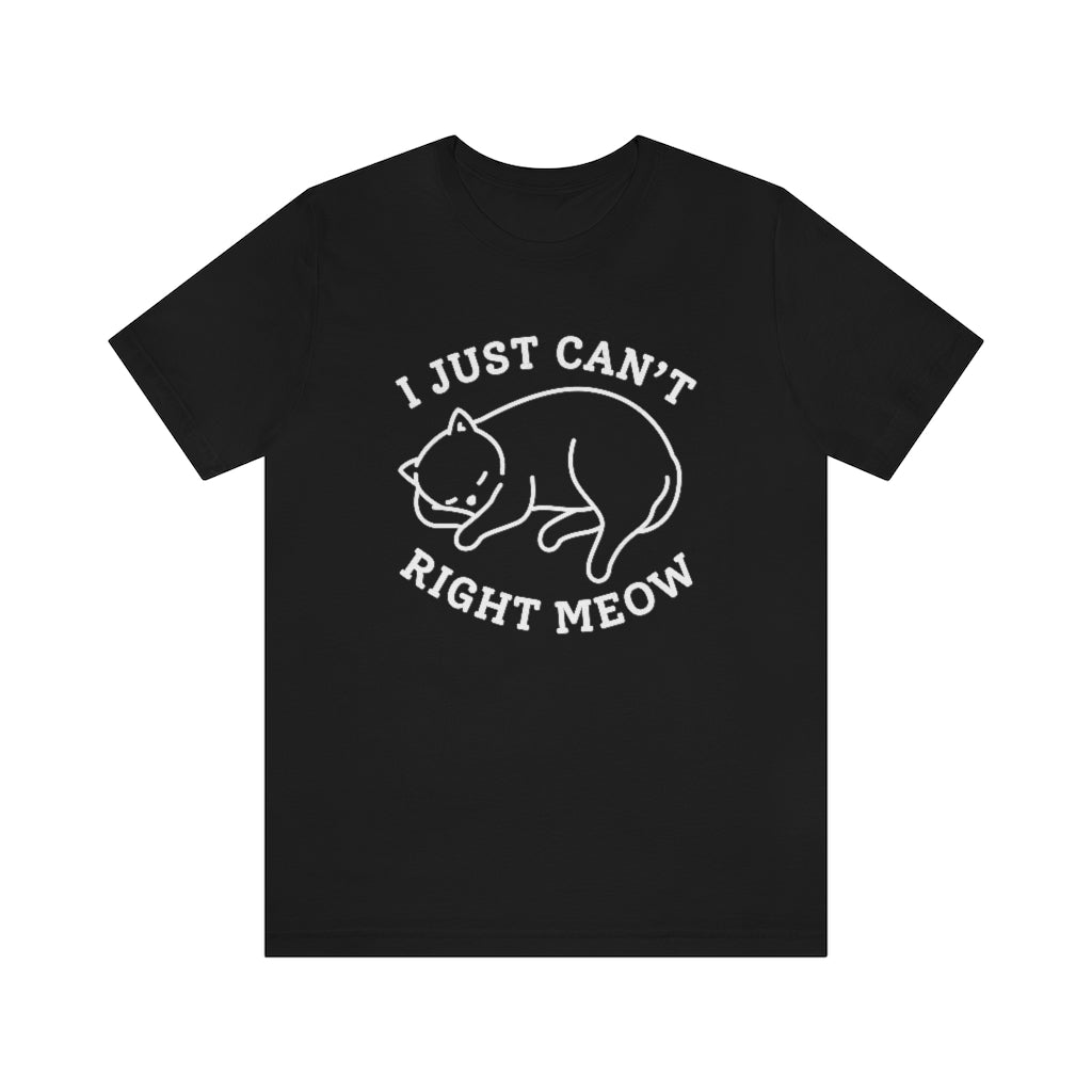 I Just Can't Right Meow Unisex T-Shirt