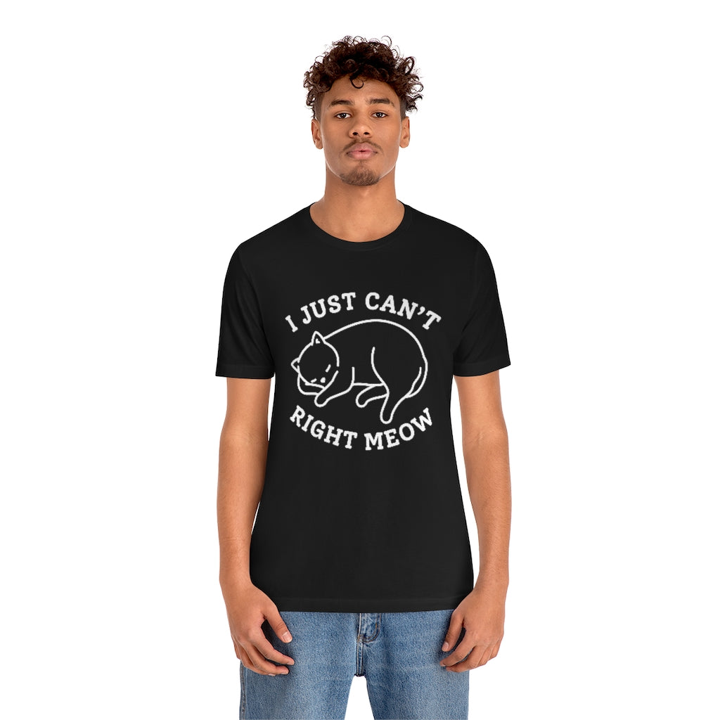 I Just Can't Right Meow Unisex T-Shirt