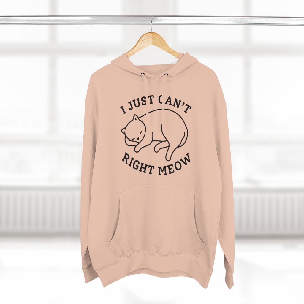 I Just Can't Right Meow Unisex Hoodie